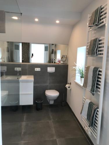 ein Badezimmer mit Toilette, Waschbecken und Spiegel in der Unterkunft Ferienwohnung Sonnentraum in Bannesdorf