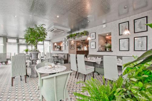 アバディーンにあるThe Cults Hotelの食卓と椅子、植物のあるダイニングルーム