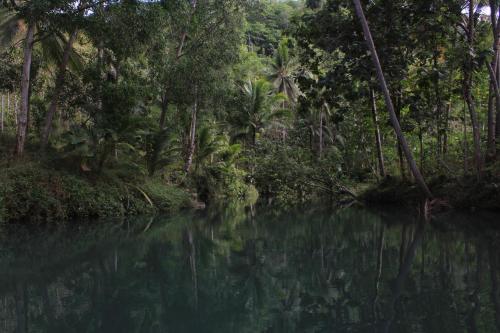 a river in the middle of a jungle with trees at Harry's Ocean House Watukarung Homestay in Kalak