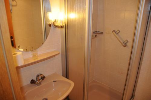 a bathroom with a shower and a sink and a toilet at Pension Klette in Kurort Oybin