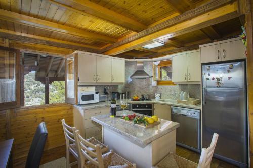 a kitchen with a refrigerator and a counter top at Ricky Chalet Near Troodos in Spilia