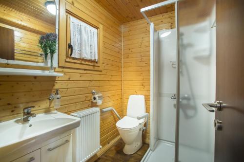 a bathroom with a toilet and a sink and a shower at Ricky Chalet Near Troodos in Spilia