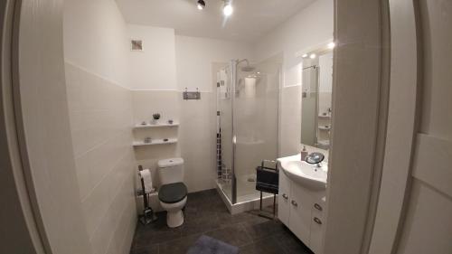 ジェシュフにあるPolhouse Apartamentyの白いバスルーム(トイレ、シンク付)