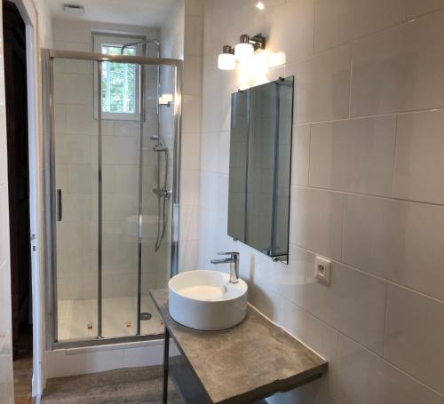 La salle de bains est pourvue d'un lavabo et d'une douche en verre. dans l'établissement La Villa du Château Belloy, à Saint-Michel-de-Fronsac