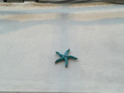 a blue starfish sitting on the sand on the beach at Le Case Di Tufo in Favignana
