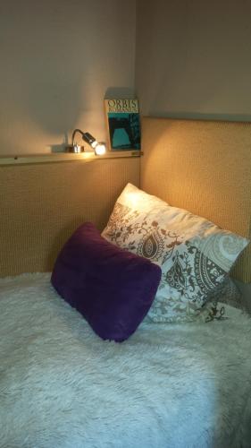 a bed with a pillow and a lamp on it at Ferienhaus Peggy in Kurort Oybin