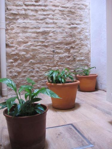 The Green Balcony photo 15