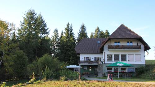 HerrischriedにあるB & B Der Waldvogelの背景の木々が茂る丘の上の家
