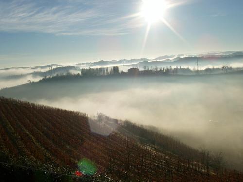 a foggy vineyard with the sun in the background at Villa Tiboldi in Canale
