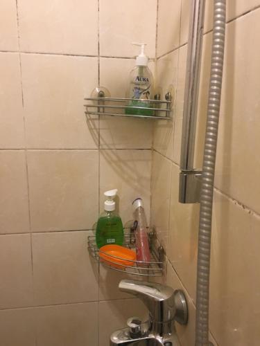 ein Badezimmer mit einem Waschbecken mit Seife und Reinigungsmitteln in der Unterkunft Vash Dom Hotel Somova in Murmansk