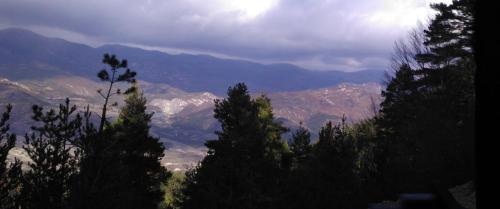 a view of a mountain range with trees in the foreground at Refugi Quatre Cases in Clot del Moro