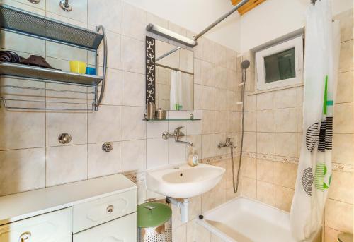 ein Bad mit einem Waschbecken und einer Dusche in der Unterkunft Apartmani Amila-Pisak in Pisak