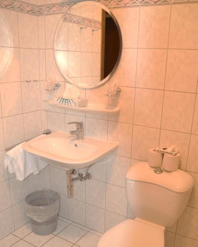 a bathroom with a toilet and a sink and a mirror at Hotel Wiesengrund in Lindenfels