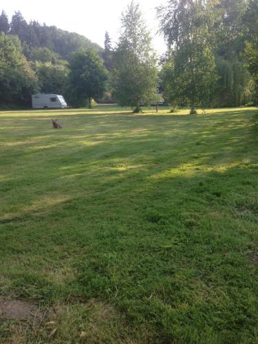 a large field of grass with trees in the background at Les Rivieres in Caumont-sur-Orne