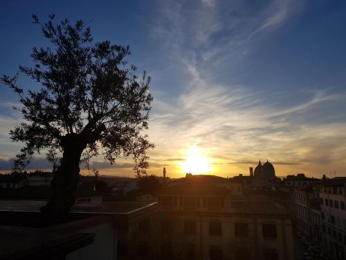 a tree in front of a sunset in a city at Forte16 View & SPA in Florence