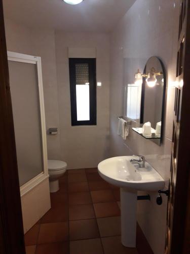 uma casa de banho com um lavatório, um WC e um espelho. em Hostal Restaurante Santa Cruz em Masueco