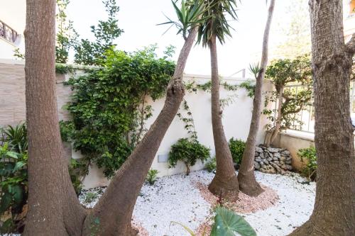 a group of palm trees in front of a building at B&B Luxury in Lecce
