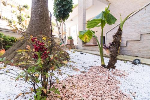 a tree with flowers in front of a building at B&B Luxury in Lecce