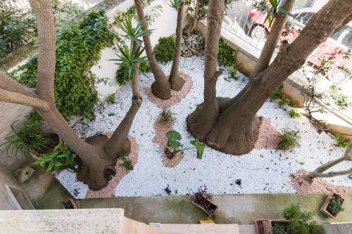 an overhead view of a garden with trees and plants at B&B Luxury in Lecce