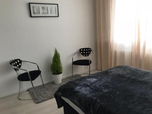 ドルマーゲンにあるMessewohnung Dormagenのベッドルーム1室(椅子2脚、ベッド1台、鉢植えの植物付)
