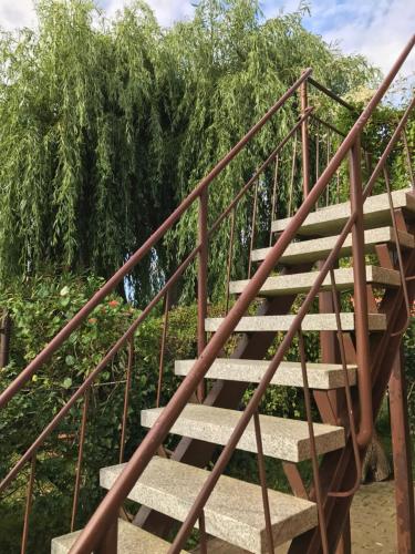 a set of stairs with trees in the background at Peeneurlaub in Lassan