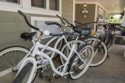 a group of bikes parked next to a building at Ivy Court Inn and Suites in South Bend