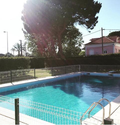 a large blue swimming pool with a tree in the background at Lisbon Surf Villa in Costa da Caparica
