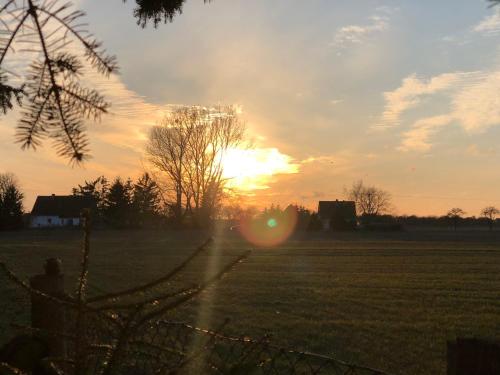 a sunset in a field with the sun setting at Peeneurlaub in Lassan