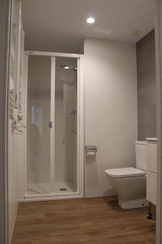 uma casa de banho com um chuveiro e um WC. em Apartamento luaS em Santiago de Compostela