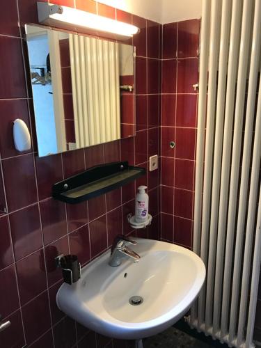 a bathroom with a sink and a mirror at Casa Parentela in Ligornetto