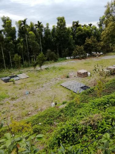 a grassy field with a picnic table and trees at 台東民宿 關山桃花心木民宿農場 in Guanshan