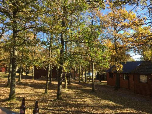 a group of trees in a yard with a building at Genieterke in Somme-Leuze