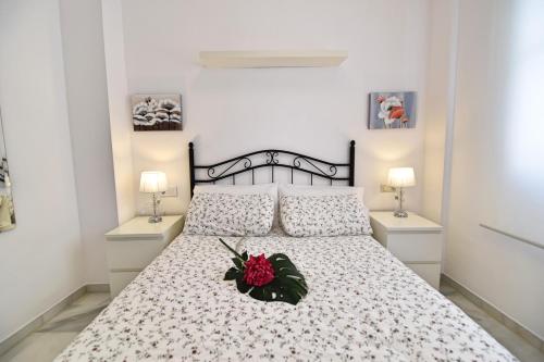 Apartamento Cister Old Town