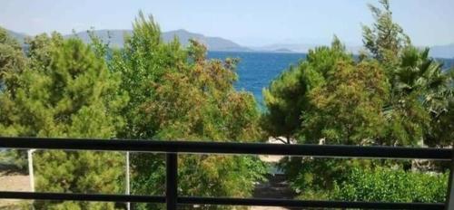 Gallery image of ΑΚΡΟΓΙΑΛΙ in Néos Pírgos