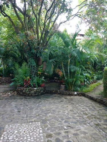 a garden with a stone path and trees and plants at Casa d'Lobo Hotel Boutique in Malinalco