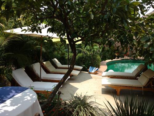 a group of chairs and an umbrella next to a pool at Casa d'Lobo Hotel Boutique in Malinalco