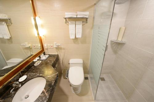 慶州市にあるコモドール ホテル キョンジュのバスルーム(トイレ、洗面台、シャワー付)
