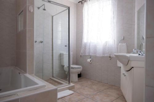 a bathroom with a toilet and a sink and a shower at President Lodge in Edenvale