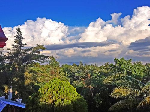 a view of a forest of trees under a cloudy sky at Sofias House Rental in Tagbilaran City
