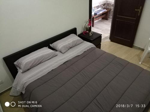 ein Bett mit zwei Kissen darauf in einem Schlafzimmer in der Unterkunft Appartamento Confortevole I 3 cocos in Maierato