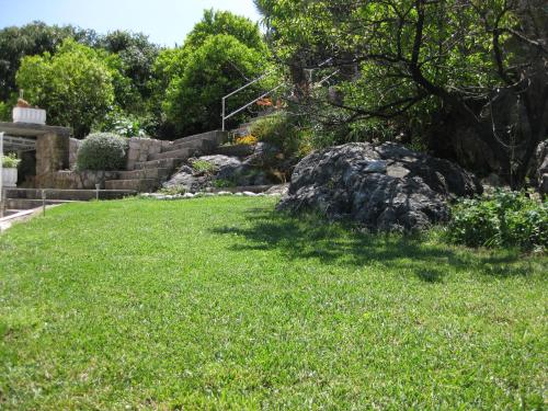 a grassy yard with a tree and a rock at Marivo Guest House in Molunat