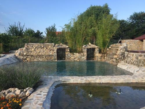 Country Spa Retreat — Swimming pool