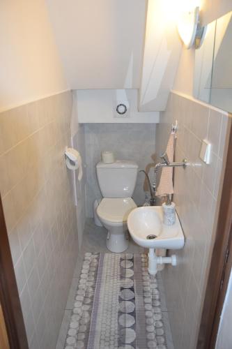a small bathroom with a toilet and a sink at Rekreacny Dom in Strečno