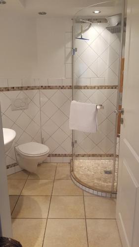 a bathroom with a shower with a toilet and a sink at Harz Stolberg Ferienwohnung in Stolberg i. Harz