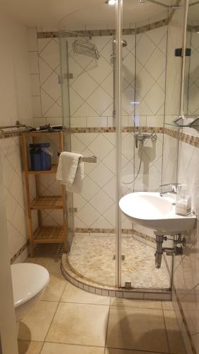 ein Bad mit einer Dusche und einem Waschbecken in der Unterkunft Harz Stolberg Ferienwohnung in Stolberg i. Harz
