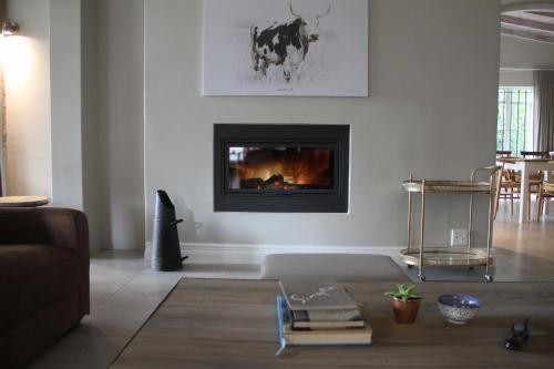 a living room with a couch and a fireplace at Amberhall Guesthouse in Johannesburg