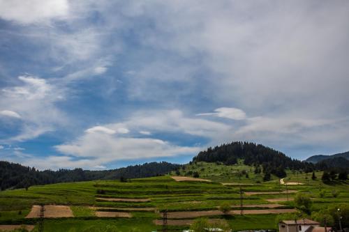 a green field with trees and a cloudy sky at Семеен хотел "Елеганс" - Борино in Borino