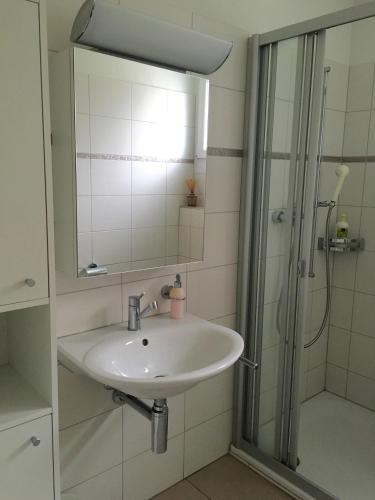 Charming Studio near Rotsee Lucerne Kitchen, WiFi, Washing machine photo 3