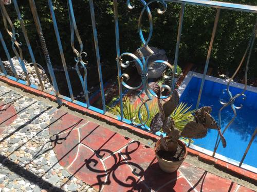 a fence with a potted plant next to a pool at Casa toscana in Thun