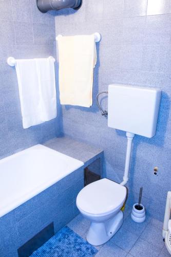 a bathroom with a toilet and a tub and a sink at Apartman Đina in Risika